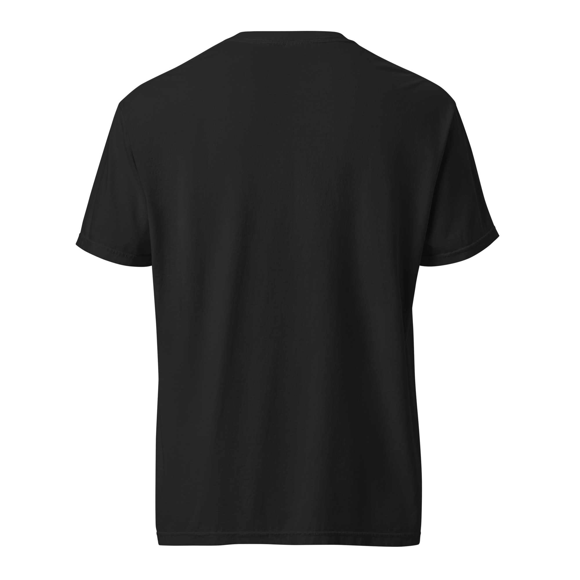 Heavyweight Graphic Tee — back view